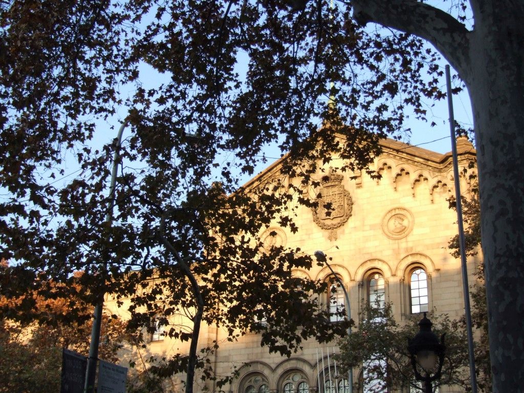 barse133 (Medium)