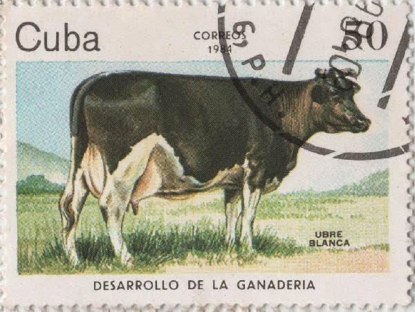 Imagen relacionada