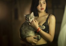 Хвост кота