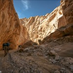Плывут по ущелью корабли пустыни