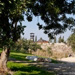 homa_migdal-0046