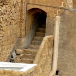 IMG_5227