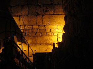 IMG_4842