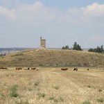 IMG_3926