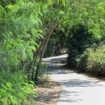 IMG_3979