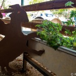 galil_013_20140923_IMG_2614