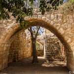 galil_032_20140923_IMG_2658