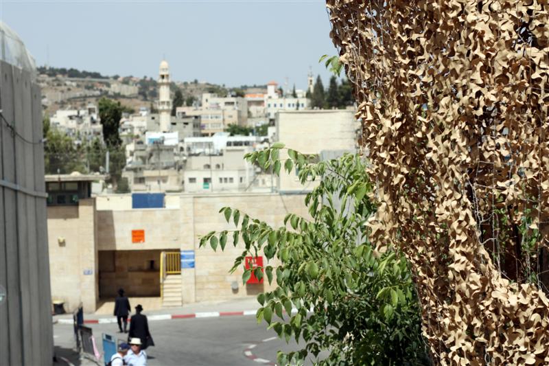rahel062 (Medium)