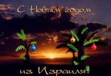 Открыточки на год овечки