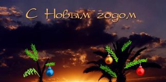 Открыточки на год овечки