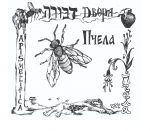 dvora
