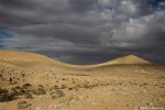 desert_008_20150117_IMG_4393