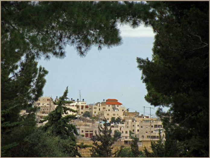 hevron134