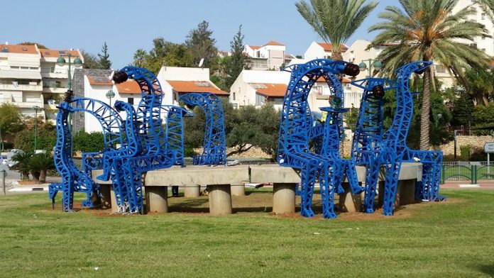 13139175_844269935700600_6001584869469402339_n