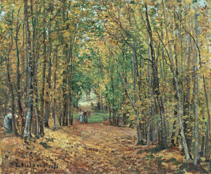 moyka163