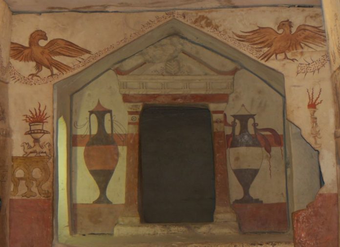 tylej16515 (Medium)