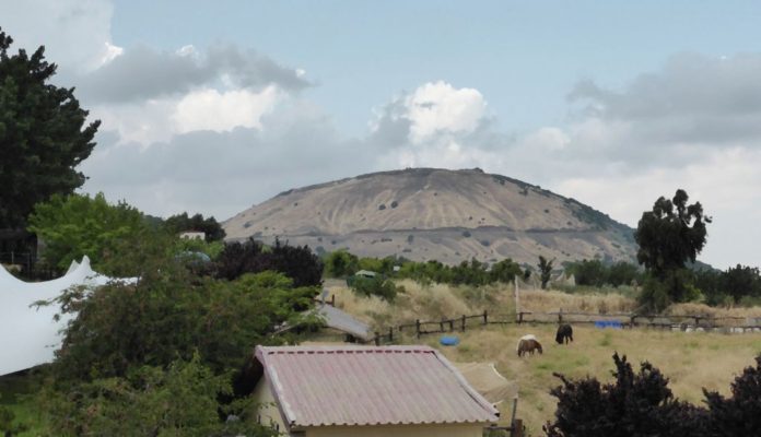 golan9811