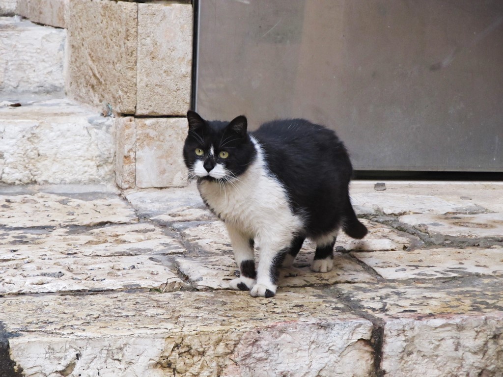 img_5886