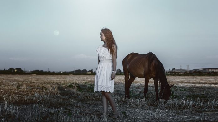 photo-session-with-a-horse-1733022_1280