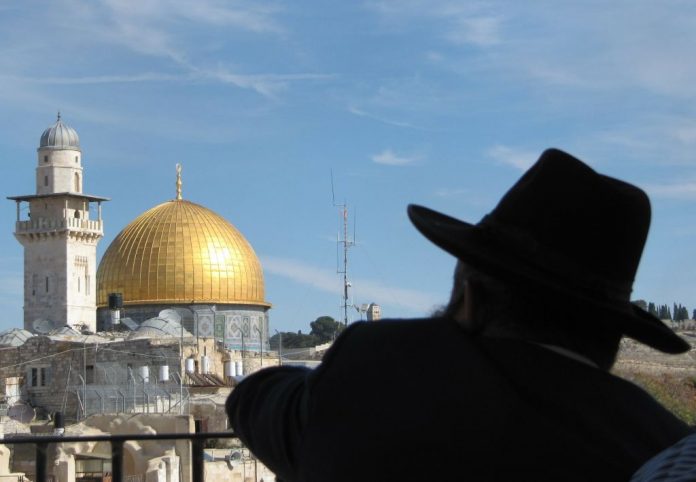 rabbi194