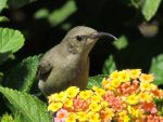IMG_0321