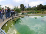 Vid_IMG_5019-001