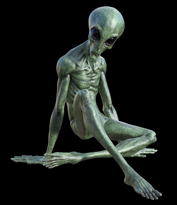 prezv244