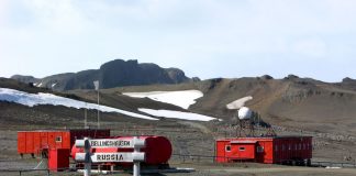 Антарктическая поножовщина