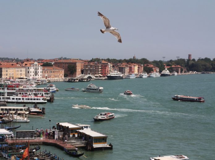 venezgondolier0 (Medium)
