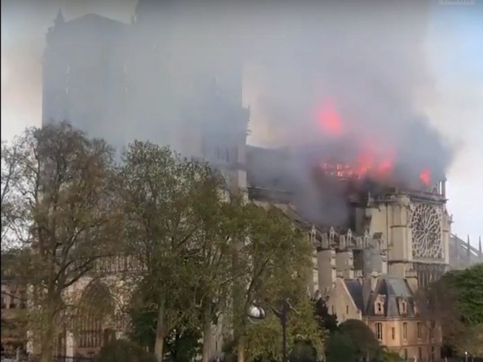 notredame