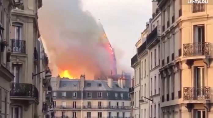 notredame3