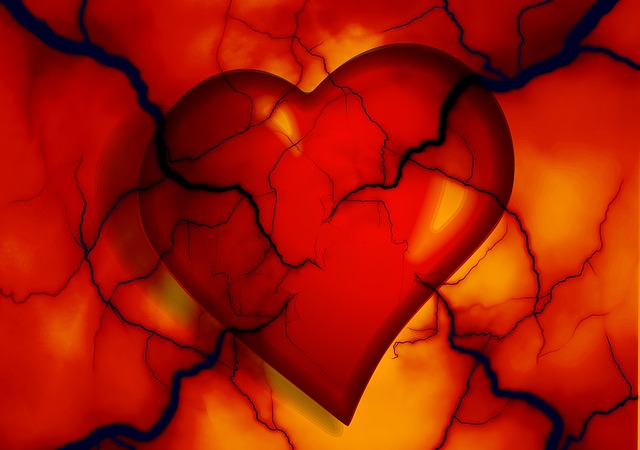 heart-2372134_640