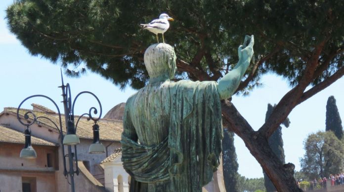 dobro363-