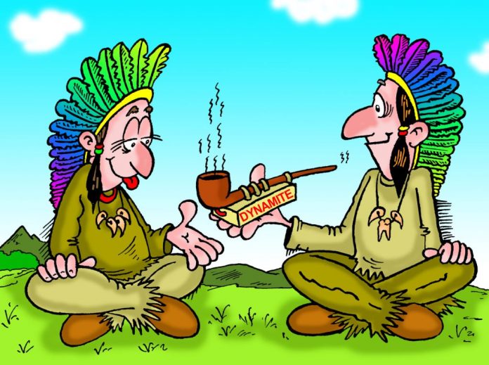 pojar376-