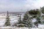 golan_snow_063_20210120_IMG_1397