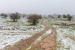golan_snow_070_20210120_IMG_1415-1
