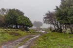 golan_snow_072_20210120_IMG_1412