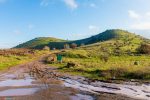 golan_snow_074_20210120_IMG_1433