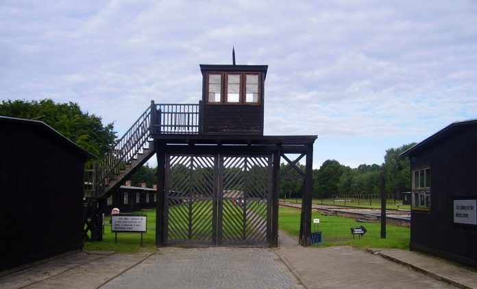 mordel455