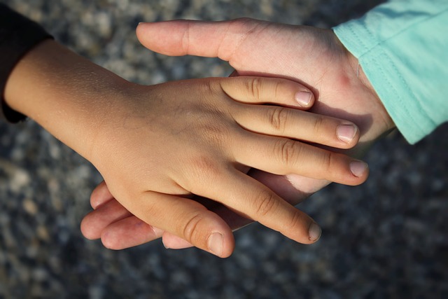 hand-gffab51a41_640
