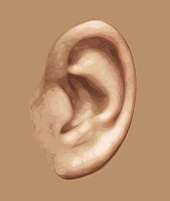ear-g7e1a45323_640