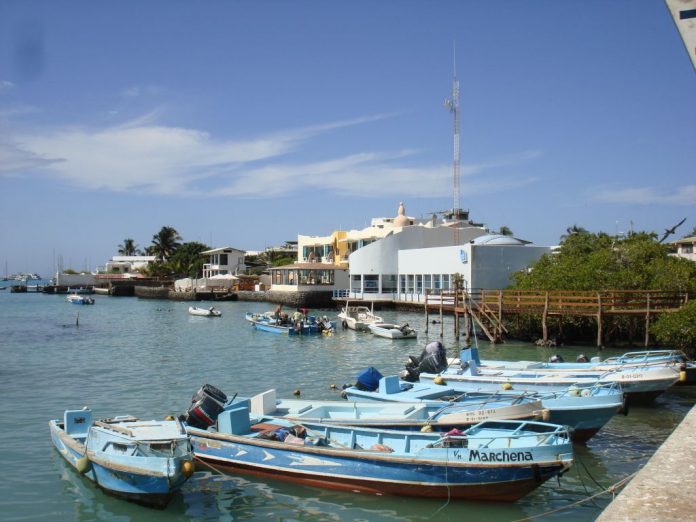 PuertoAyora483