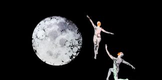 Свет в черной коробке