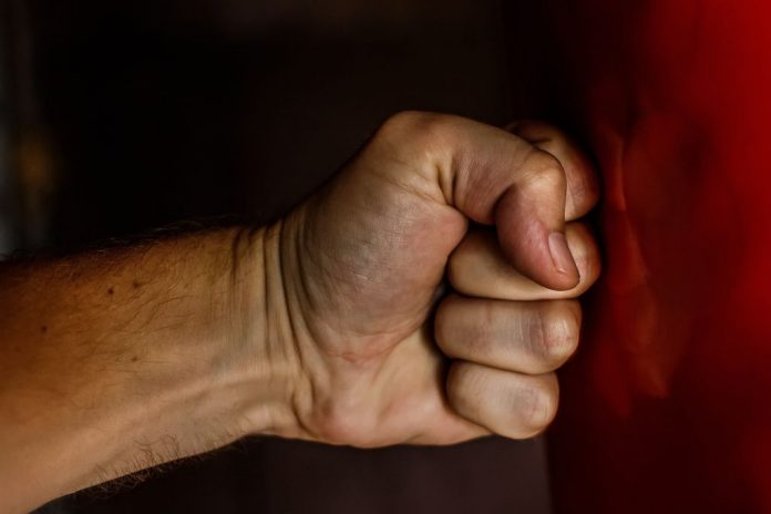 fist-1561157_1920