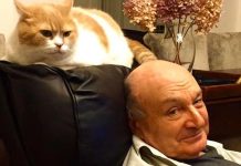 Виктор ШЕНДЕРОВИЧ | Жванецкая музыка