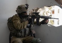 Куль кальб биджи йомо