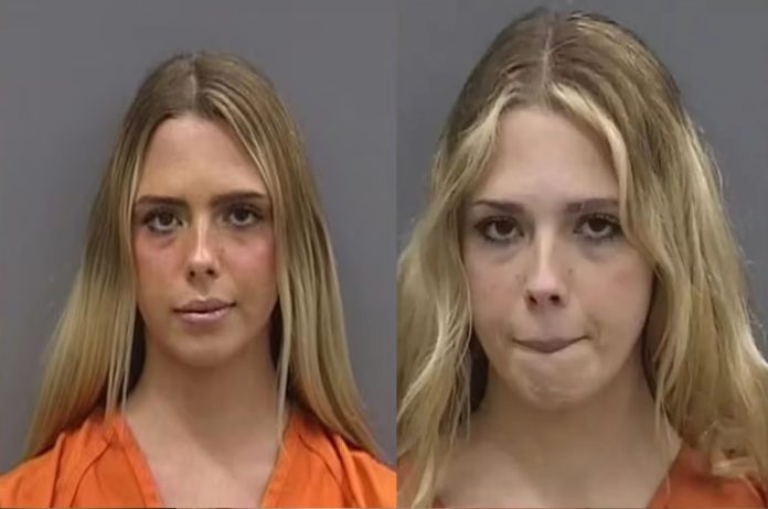 AlyssaAnnZinger