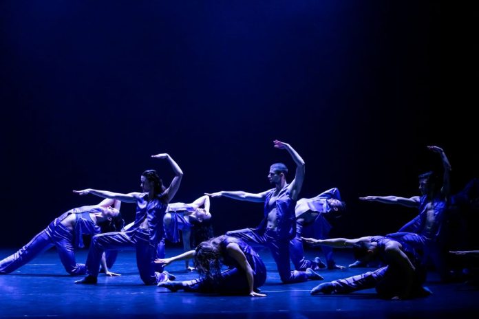 Kosmos by Kamea Dance Company_photo_by_Kfir_Bolotin_054