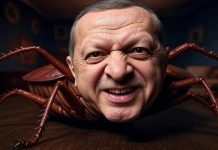 Закрытое небо Турции