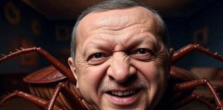 Закрытое небо Турции